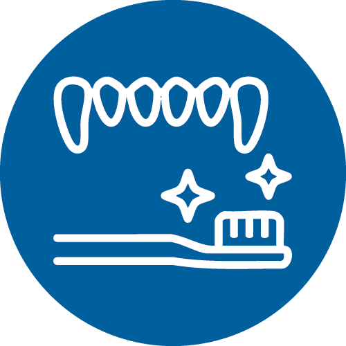 Dental Care blue circle