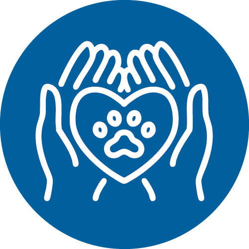 End Of Life Care blue circle