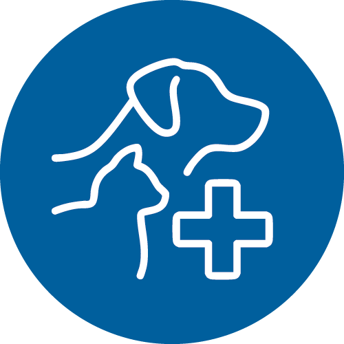 Surgical Services blue circle